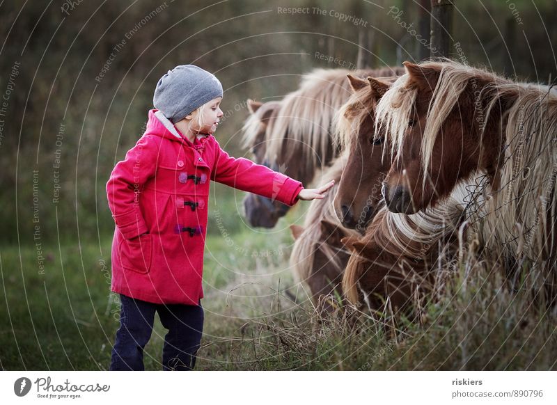 life is a pony farm ;) Human being Child Girl Infancy 1 3 - 8 years Animal Pony Group of animals Observe Touch Discover Relaxation Smiling Looking Dream