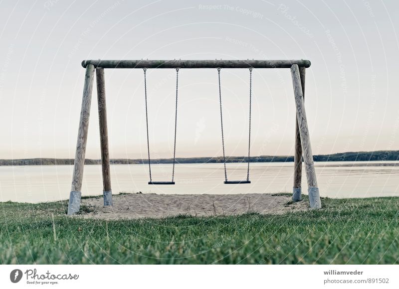 Swing at the lake Leisure and hobbies Playing Vacation & Travel Lake To swing Blue Gray Green Joy Infancy Past Transience Colour photo Subdued colour