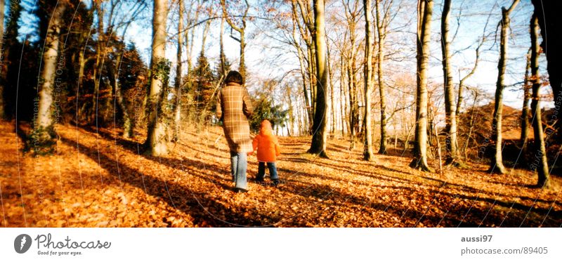 autumn walk Autumn Leaf Tree Forest Panorama (View) Mother Child leaf fall To go for a walk autumn blues Blues Large Panorama (Format) Sadness