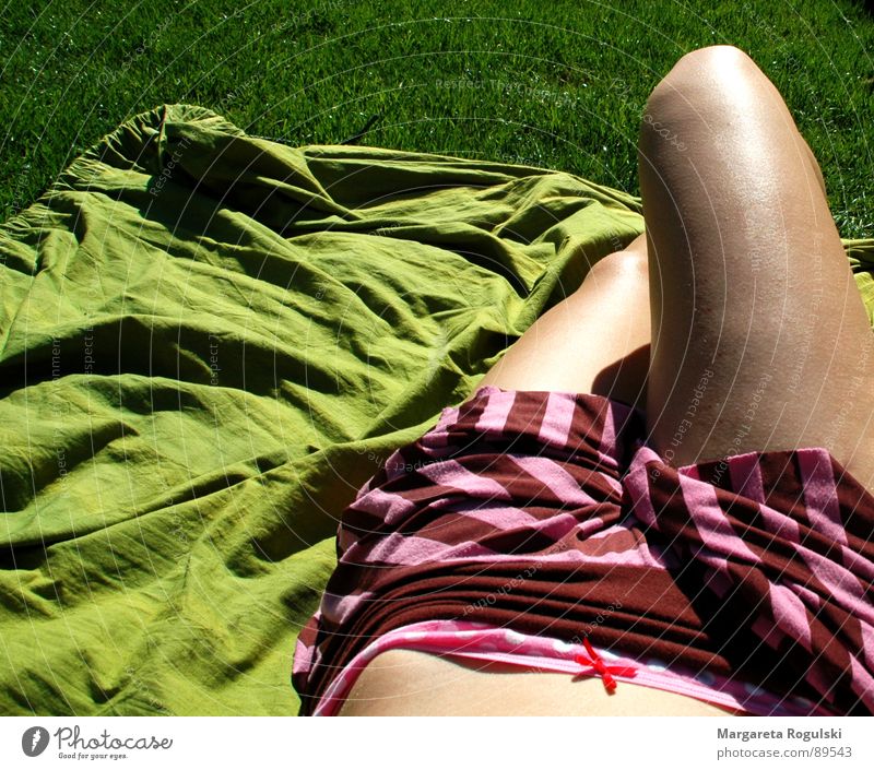 sunbath Summer Meadow Spring Grass Green Sun Weather Legs Stomach Blanket