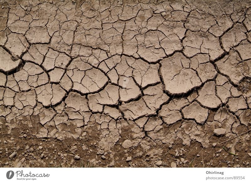 The crust Structures and shapes Background picture Crack & Rip & Tear Brown Beige Impersonal Badlands Earth Sand Grief Distress wallpapers Landscape Death Empty