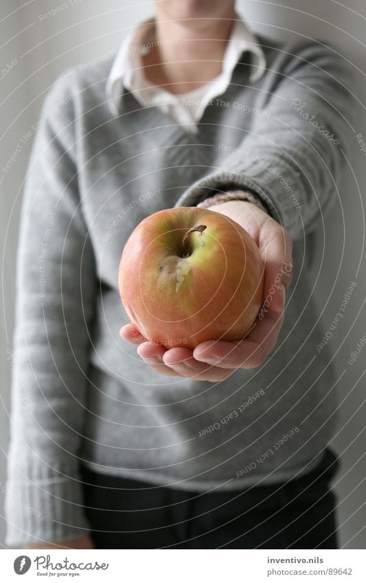 ¿Una manzana? Give Offer Donate Gift Hand Sweater Wool sweater Shirt Red Green Vitamin Fruit Apple Healthy Eating