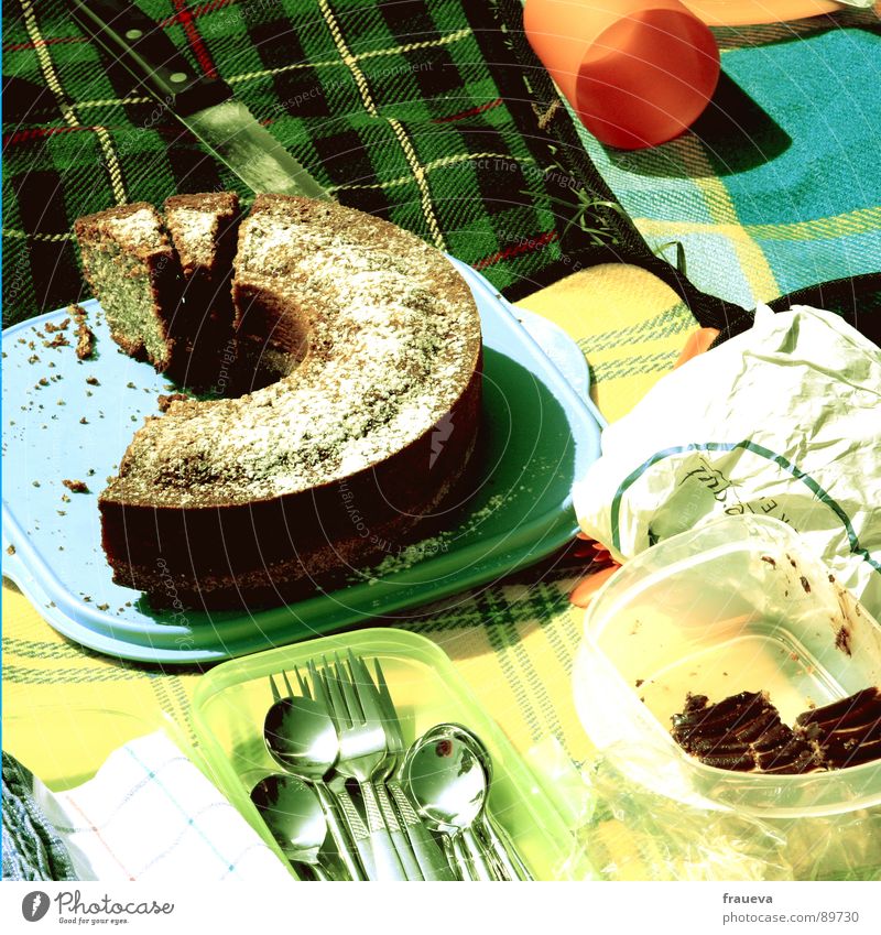 Anyone else want a cake? Picnic Tupperware Checkered Green Yellow Meal Summer Retro Seventies Bread Sliced Cake Plastic container Spoon Cutlery Baked goods