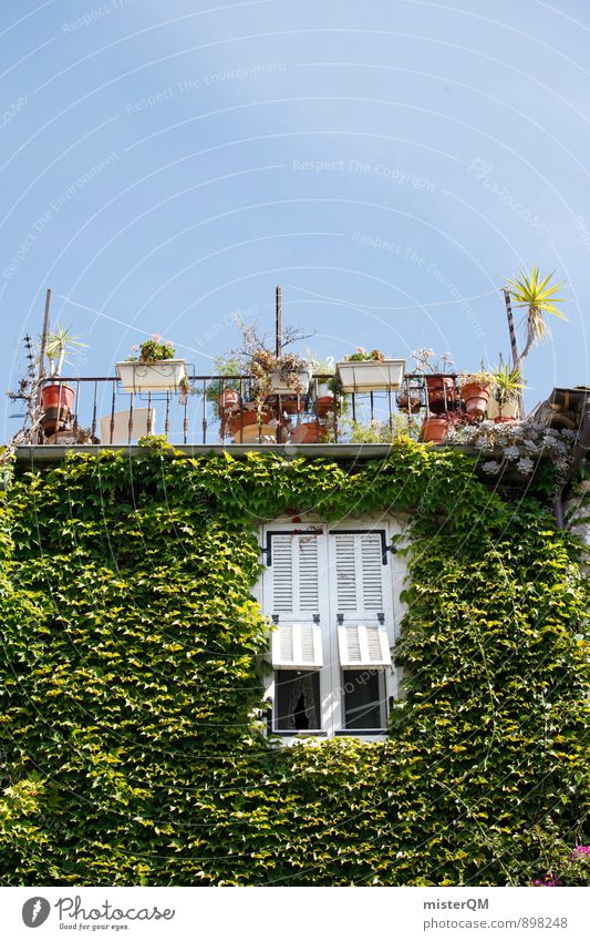 Green thumb. Art Esthetic Contentment Mediterranean Cote d'Azur Balcony Balcony plant Balcony furnishings Terrace South Vacation mood Blue sky Cactus Window