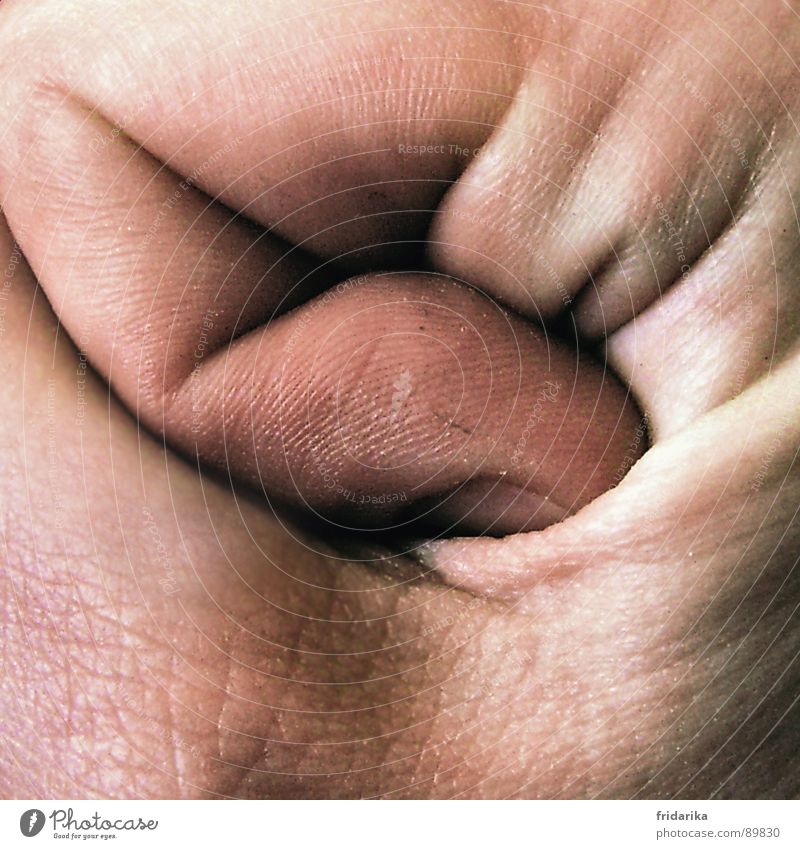 finger crease Skin Hand Fingers Nature Line To hold on Broken Near Anger Power Safety Fist Narrow Force curled Wrinkles Colour photo Close-up Detail Man