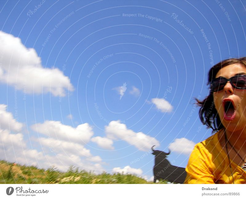 running Sky Field Bull Woman Clouds to traverse fear glasses mouth in order to cross to get glasses mouth to fear