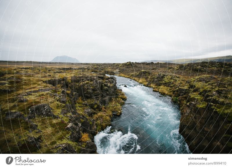 I'm in Iceland. Environment Nature Landscape Elements Water Clouds Horizon Grass Bushes Moss Hill Rock River Idyll Vacation & Travel Carpet of moss Brook Blue