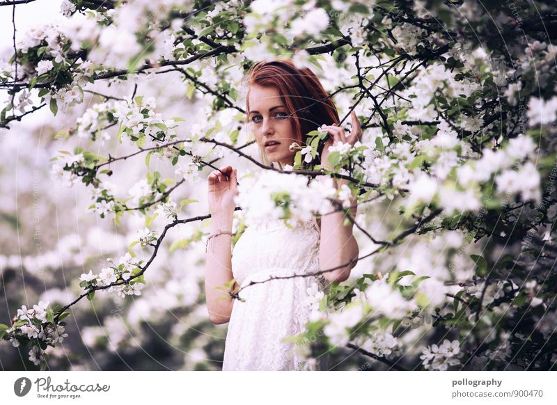 springtime III Human being Feminine Young woman Youth (Young adults) Woman Adults Life Body 1 18 - 30 years Nature Landscape Plant Spring Summer