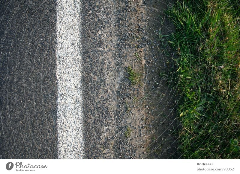 street art Traffic lane Roadside Asphalt Gray Lane markings Curb Water ditch Grass Traffic infrastructure Earth Sand Street Signs and labeling grass verge Dirty