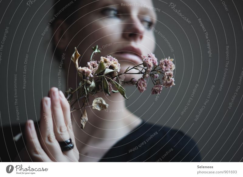 flowers Body Skin Face Human being Feminine Woman Adults Hand Fingers 1 Flower Leaf Blossom Ring Dream Sadness Emotions Moody Lovesickness Faded Shriveled