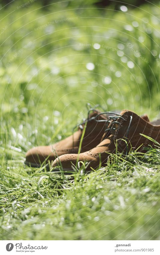 recreation area Footwear Green Meadow Brown Clothing Break Barefoot Relaxation Spiritual kinship Exterior shot Recreation area Colour photo Deserted