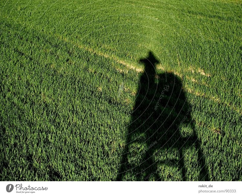 Photo hunter on the stalk Field Hunting Blind Hunter Photographer Provoke Aim Shoot Green Wood Take a photo Shadow creep up focus Climbing Tall Teatime