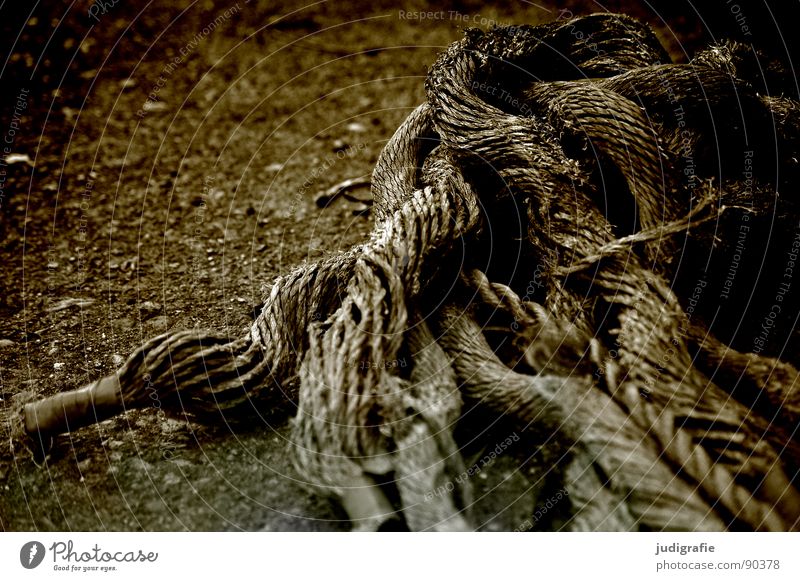 entanglements Rope Thread Plaited Integration Broken Maritime Black & white photo Transience Industry Old Blue enmeshed End Watercraft Feasts & Celebrations
