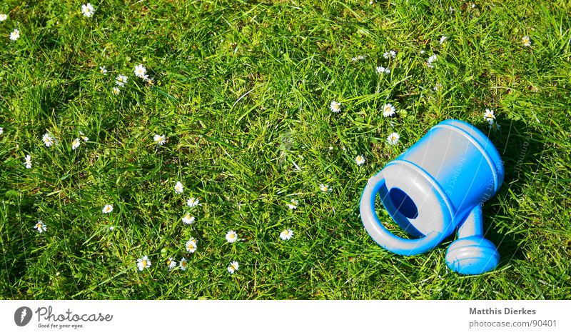 watering can Watering can Summer Daisy Meadow Vacation & Travel Closing time Playing Leisure and hobbies Beautiful Calm Joy Garden Blue Lawn Relaxation Funny
