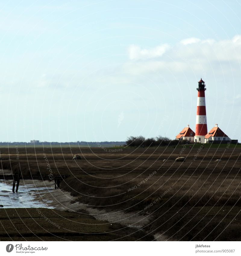 80 / Westerh(J)ever lighthouse Environment Nature Landscape Plant Animal Elements Water Autumn Coast Westerhever lighthouse Germany Europe Lighthouse Monument