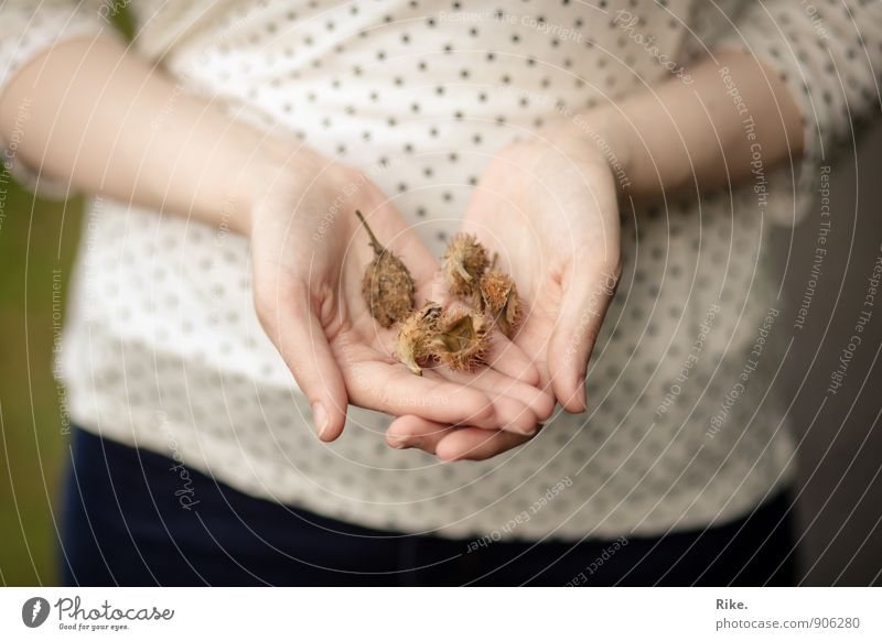 Beginning of autumn. Gardening Human being Feminine Hand 1 Environment Nature Autumn Tree Beechnut Copper beech Fruit Nutshell Forest T-shirt To hold on Faded