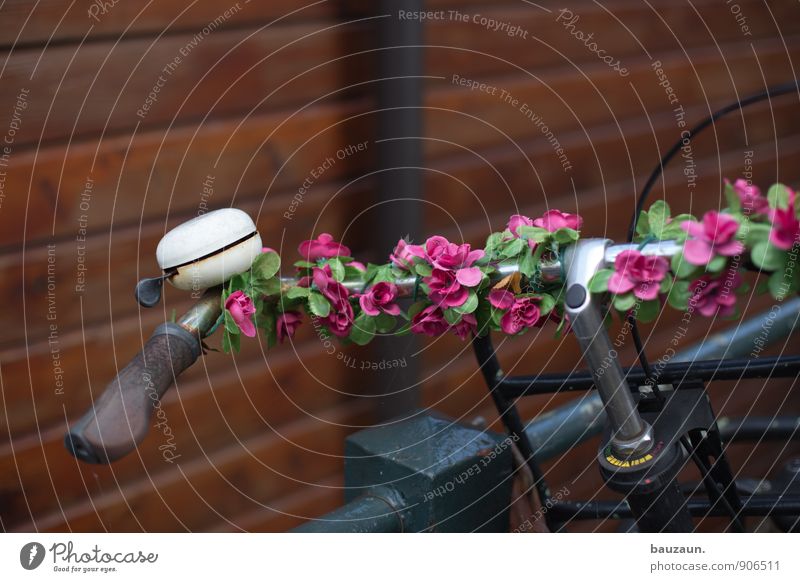 fake. Lifestyle Style Exotic Trip Bicycle Flower Downtown Old town Transport Bicycle handlebars Bicycle bell Cycling Flower necklace Metal Plastic Beautiful