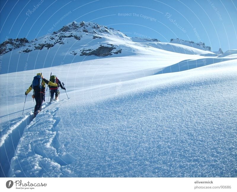 way to the gran paradiso Ski tour Moody Mountaineering Gran Paradiso Peak White Winter Winter mood Snow crystal Sports Playing