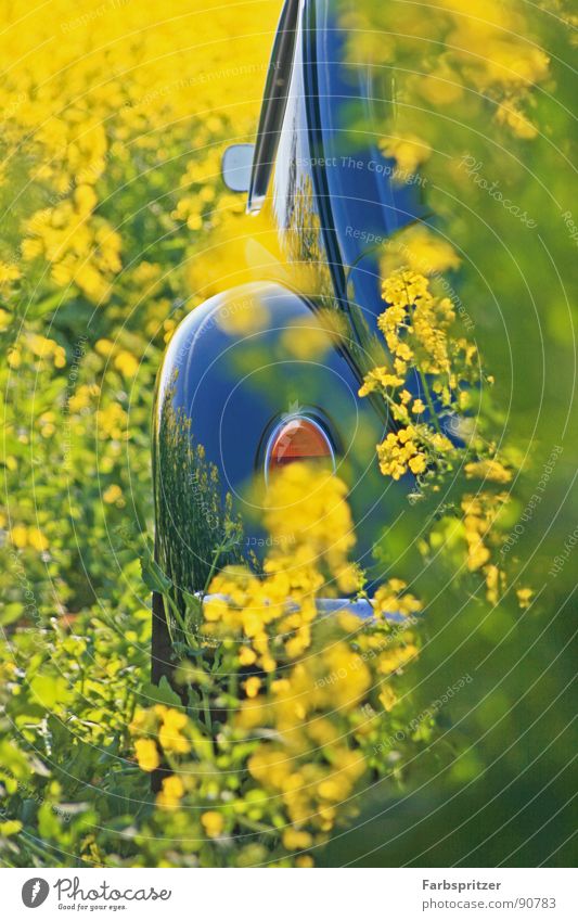 Charlemagne the Beetle Mirror Chrome Yellow Rear view mirror Field Spring March Rear light Vintage car Clean Physics Reflection Mirror rapeseed Blue Car old