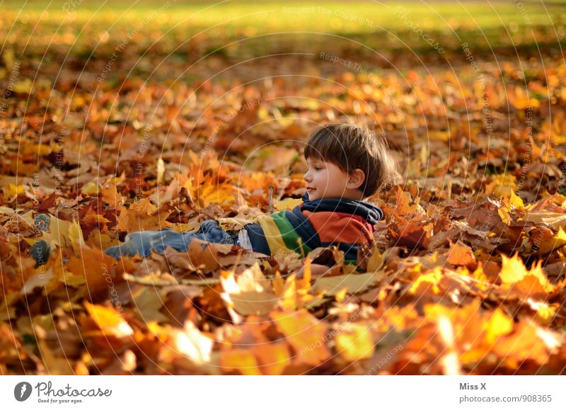 in bed Playing Children's game Garden Human being Toddler Boy (child) Infancy 1 1 - 3 years 3 - 8 years Autumn Leaf Forest Sweater Smiling Lie Happiness Cute