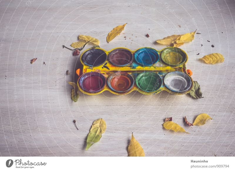 watercolours Draw Wooden table Art Painter Autumn Leaf Paintbox Watercolor Plastic Utilize Blue Brown Multicoloured Yellow Gray Green Violet Orange Pink Red