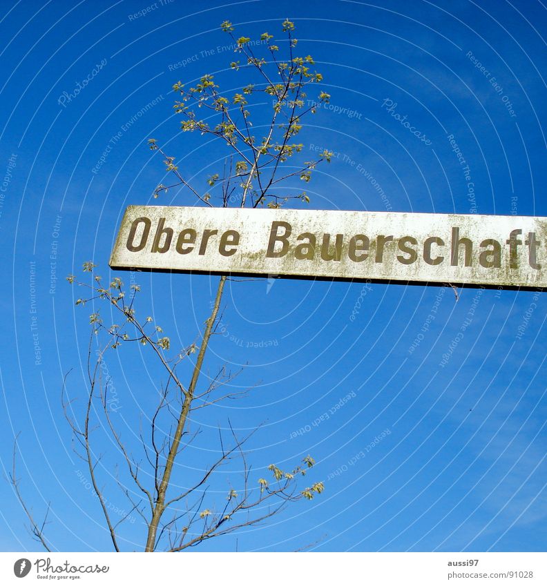 ...who buys the potatoes. Field Tree Street sign Sky Blue Above upper Signs and labeling street name