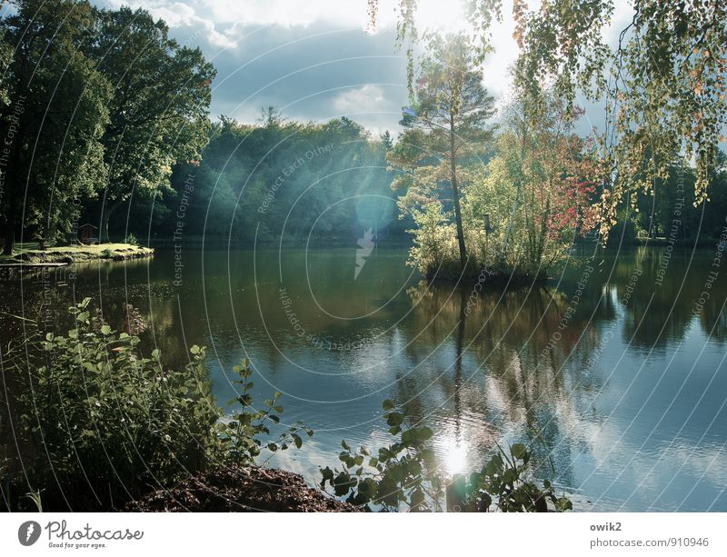 insularity Environment Nature Landscape Plant Water Sky Clouds Sunlight Beautiful weather Tree Bushes Leaf Wild plant Forest Lakeside Island Pond Breathe