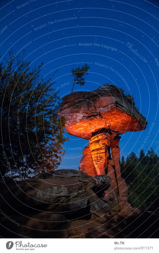 mystic light Nature Earth Sky Cloudless sky Night sky Stars Autumn Forest Hill Rock Palatinate Forest Tourist Attraction Landmark Stone Moody Beautiful