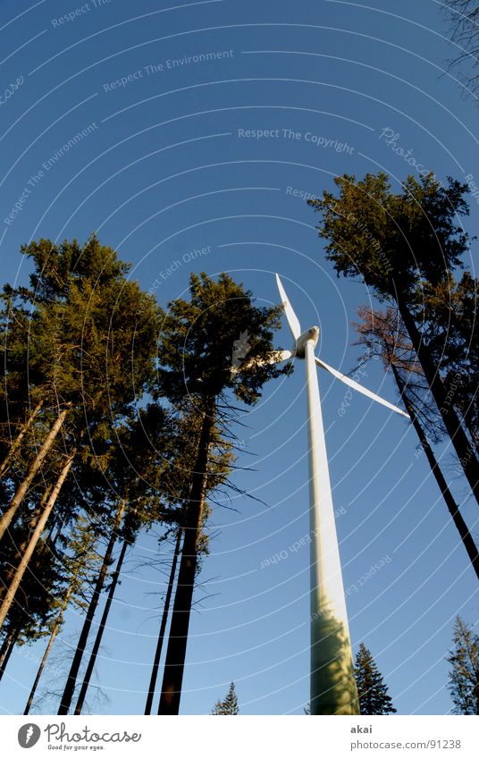 Wind power at Roßkopf 4 Sky Coniferous trees Forest Sky blue Geometry Deciduous tree Perspective Coniferous forest Glade Paradise Clearing Wind energy plant