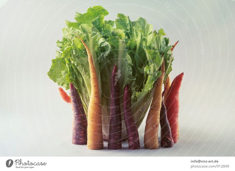 vegetables Food Vegetable Lettuce Salad Nutrition Organic produce Vegetarian diet Diet To enjoy Good Yellow Healthy Carrot Classification Colour photo