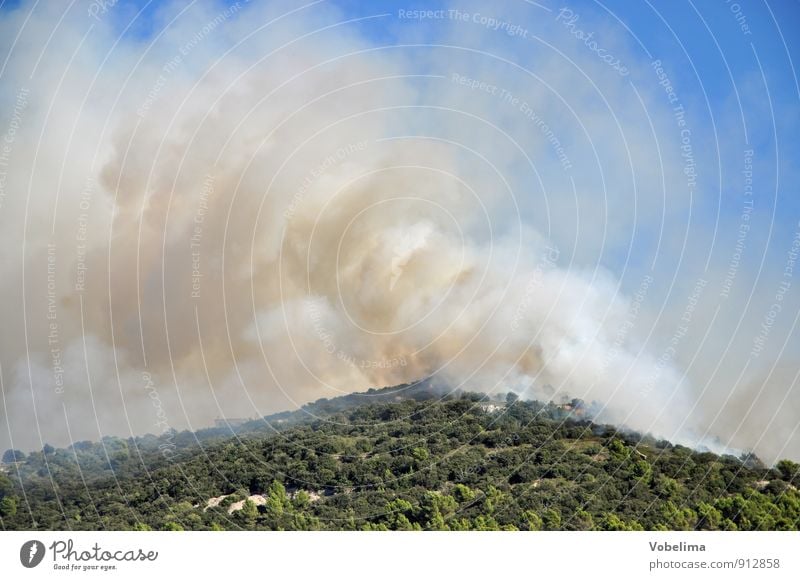 Forest fire on Mallorca Mountain Environment Nature Landscape Elements Fire Sky Warmth Drought Peak Smoke Threat Blue Brown Green Fear Dangerous Disaster