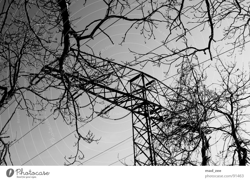 opposites... Playing Electricity pylon Simple Black & white photo Grief Distress Branch Cable straightforward Sky Beautiful weather