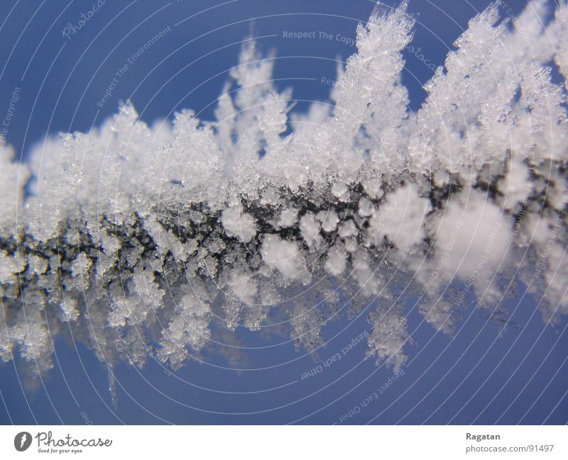 frosty Winter Cold Obscure Ice Frost Crystal structure Nature bling Snow