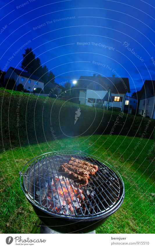 late night crickets Food Meat Dinner Cheap Good Blue Green Barbecue (event) Barbecue (apparatus) Grill Embers Dusk Garden Minced meat speared Kebab adana Lamb