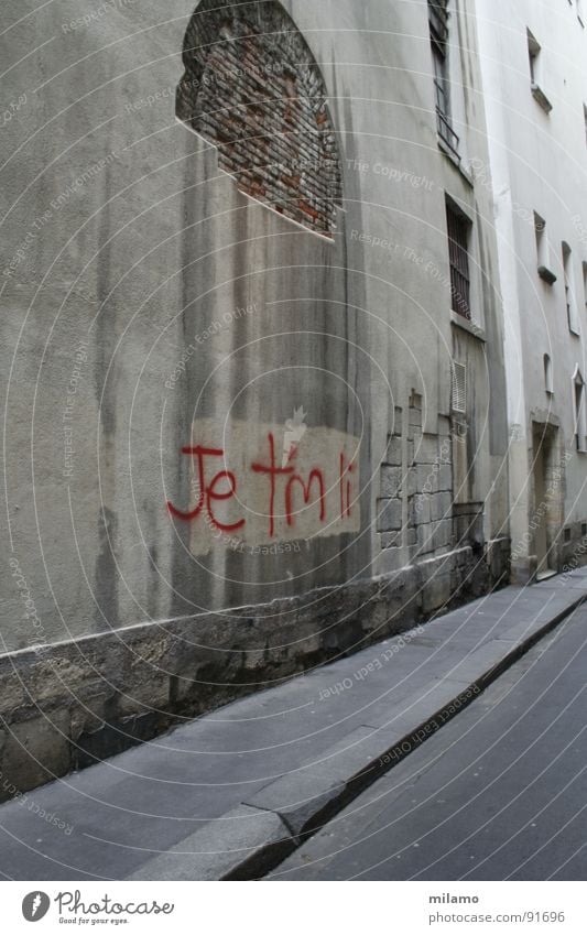 à Paris Alley Wall (building) Curbside Brick Dirty Derelict Red Detail Street steep crumble away Graffiti France