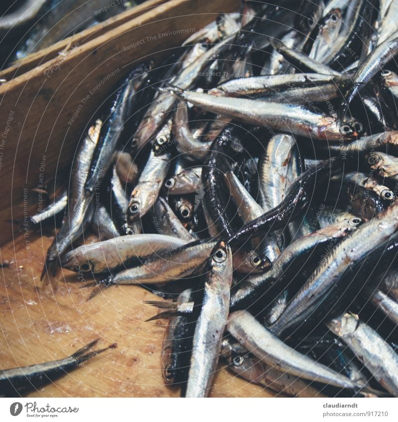 Mercato Oriental Fish anchovies anchovy Herring Dead animal Fresh Many Silver Market stall Farmer's market Fish market Crate Wooden box Food Food photograph