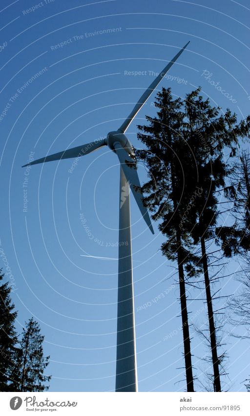 Wind power at Roßkopf 5 Sky Coniferous trees Forest Sky blue Geometry Deciduous tree Perspective Coniferous forest Glade Paradise Clearing Wind energy plant