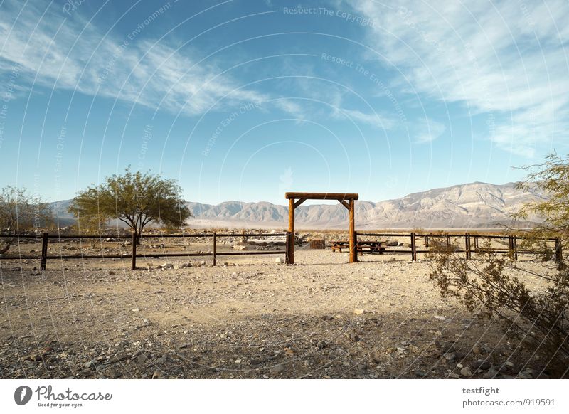 gate Environment Nature Landscape Plant Animal Earth Sand Sky Clouds Sun Summer Climate Beautiful weather Tree Desert Relaxation Wild Blue Fence Ranch