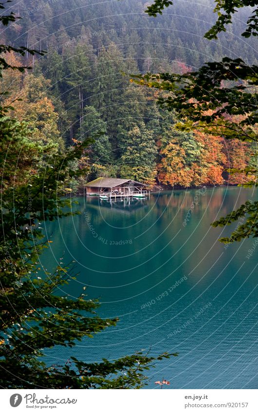 keep tabs on sb./sth. Vacation & Travel Tourism Trip Adventure Nature Landscape Autumn Climate Weather Forest Lake alpine lake Observe Discover Relaxation Green