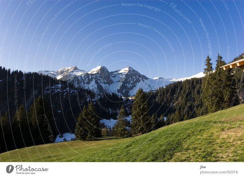 Spring in the mountains Alpine pasture Snow mountain Forest Fir tree Meadow Grass Slope Beautiful Switzerland Authentic Mountain Ski run Pasture ridges Shadow