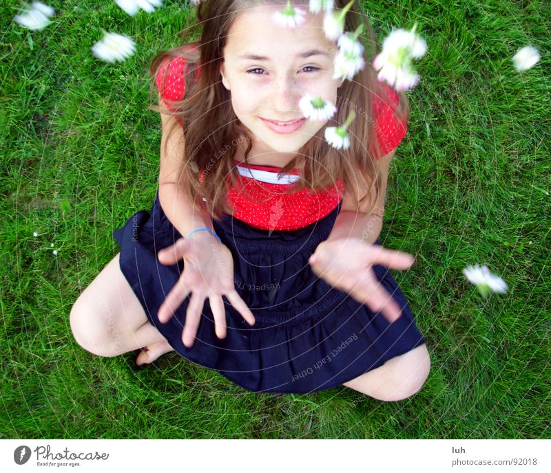 Summer rain. 2 Daisy Green Grass Flower Red White Spring Jump Happiness Healthy Rain Child Youth (Young adults) Fairy tale Fantastic Girl Lawn flowers Free Skin