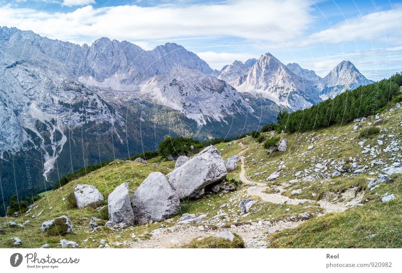 footpath Hiking Environment Nature Landscape Elements Earth Sky Clouds Summer Autumn Beautiful weather Grass Bushes Coniferous forest Alps Mountain Zugspitze