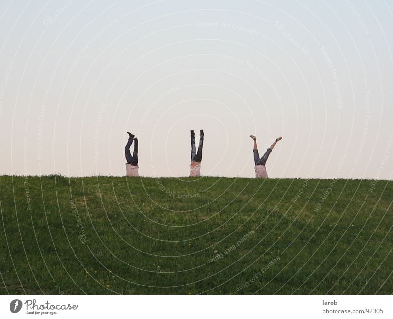 A completely normal day times completely differently Handstand Meadow Attachment Friendship Exterior shot Joy 3 men Freedom three crazy friends