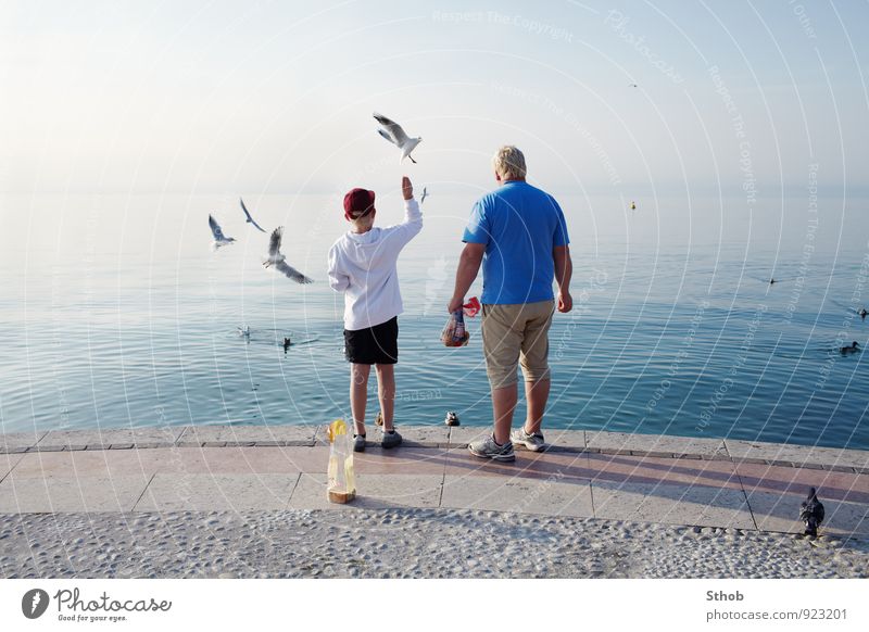 Seagulls feeding at Lake Garda Bread Joy Relaxation Vacation & Travel Trip Sun Masculine Boy (child) Man Adults Father Family & Relations Infancy Life 2