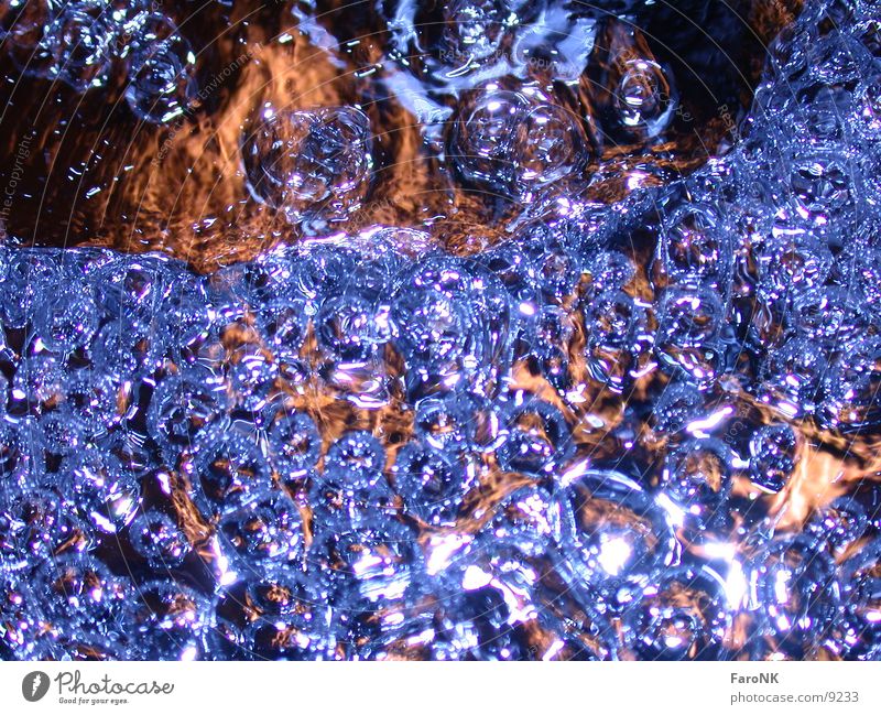 havoc Macro (Extreme close-up) Close-up Water Blue