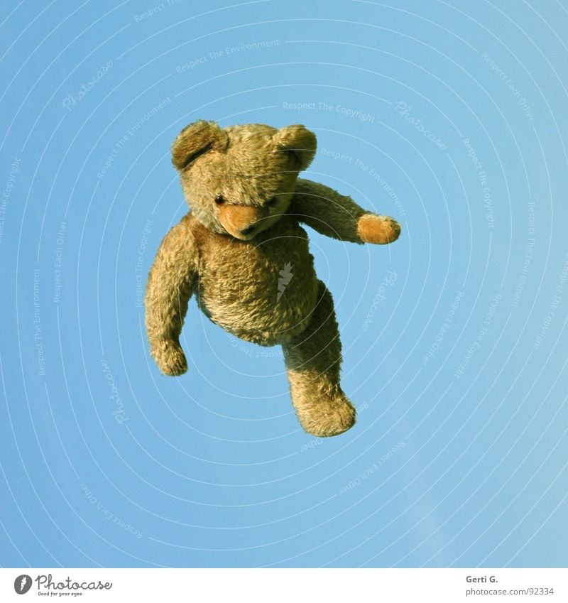 all teddy bears fly hooooch Throw in the air Jump Teddy bear Toys Brown Summer's day Phantom pain Handicapped Joy Obscure Leisure and hobbies poor leg from kick