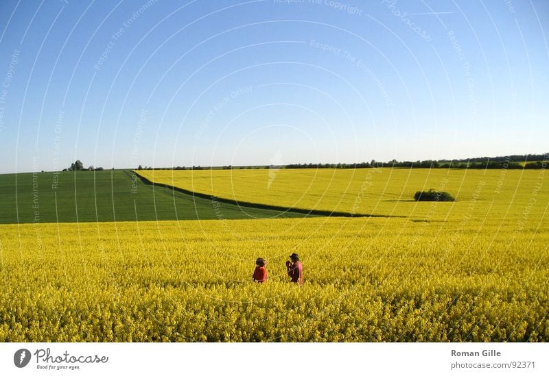 Rapsody #3 Canola Field Green Yellow Red Far-off places Human being Harmonious Vantage point Exterior shot Spring Sky Blue Nature Graffiti