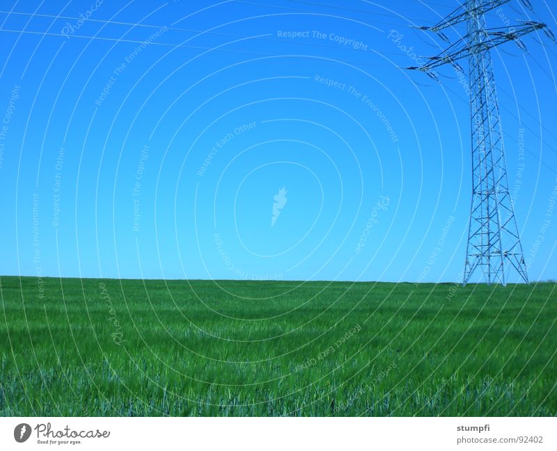 Nature and technology Spring Summer Field Hiking Wheat Air Green Grass Meadow Electricity Grain Sky Blue Electricity pylon