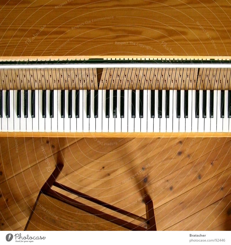 One piano, one piano! Colour photo Interior shot Studio shot Deserted Copy Space top Day Shadow Deep depth of field Bird's-eye view Happy Playing Music Art