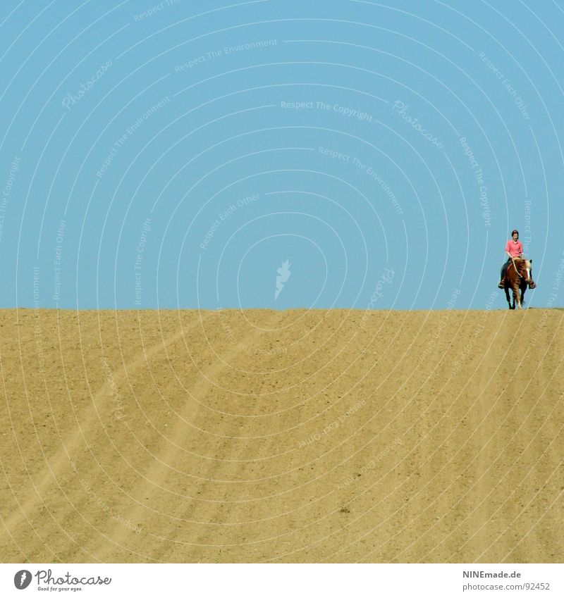 The horizon II Sky blue Horizon Field Yellow Rut Far-off places Horse Pink White Brown Summer Emotions Good mood Loneliness Calm To enjoy Walking Small Large